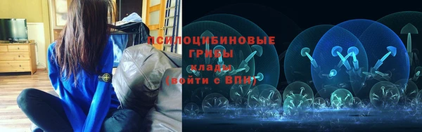 гидра Бугульма